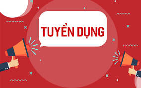 IVS tuyển dụng FRESHER